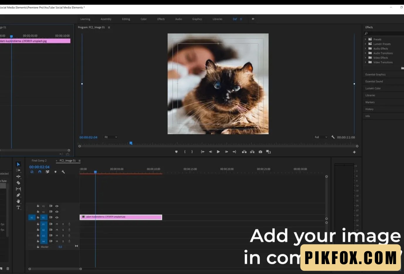 16+ YouTube Template Premiere Pro