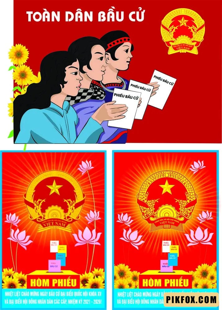3+ Pano bầu cử đại biểu quốc hội