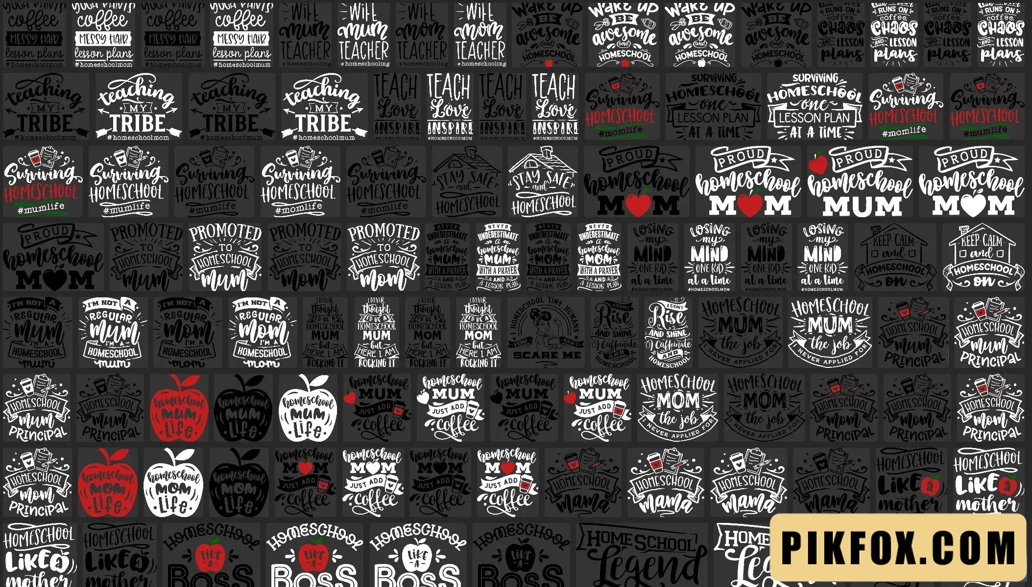 40+ T-shirt Homeschool