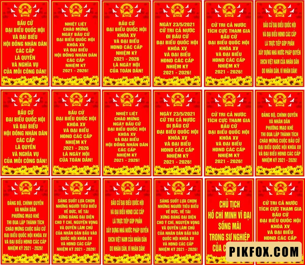 9+Bộ pano treo bau cu dai bieu quoc hoi